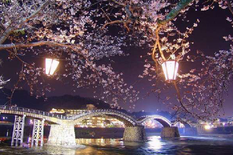 春の夜桜